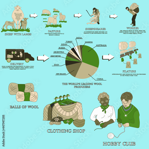 Stages of wool production. Sheep shearing, wool delivery, filature, yarn dressing, sale, knitting.