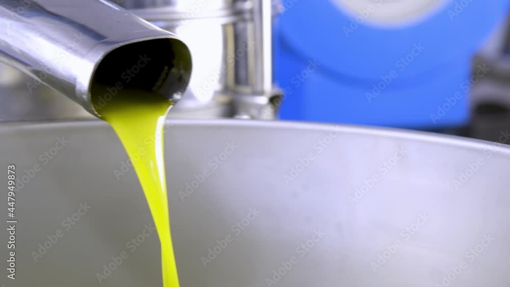cold pressing of extra virgin olive oil in a olive-press