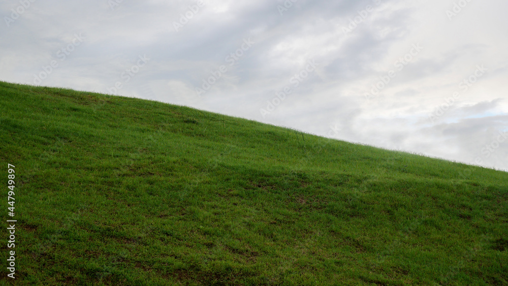 Scenic View Of Grassy Field Against Sky Scenic View Of Grassy Field Against Sky