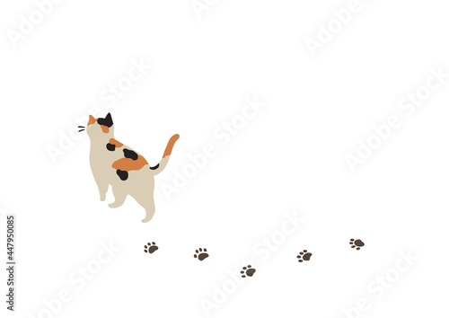 歩く猫の後ろ姿-ミケ猫