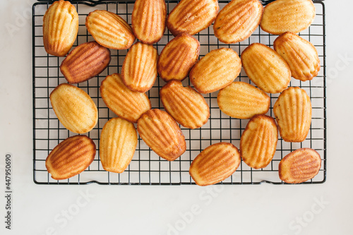 Madeleine Cakes Dusted with Sugar