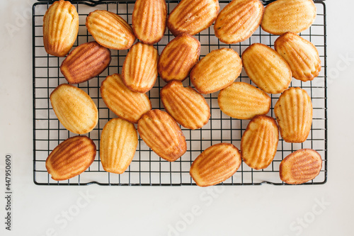 Madeleine Cakes Dusted with Sugar photo