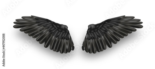 Vector pair of black realistic wings on white background