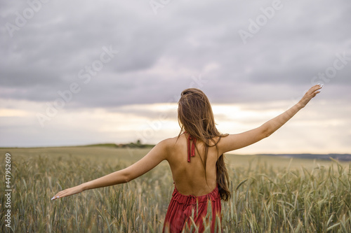Adult beautiful woman wearing a red dress with a bare back in a wheat field