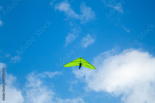 kite in the sky