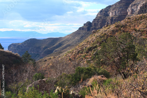 Foto The Sacramento Mountains from inside of Oliver Lee State Park, New Mexico