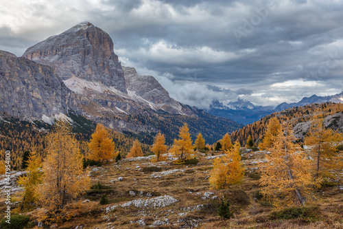 Beautiful autumn view Tofana di Rozes mountain with yellow larch trees on foreground. Dolomite Alps near Falzarego Pass.