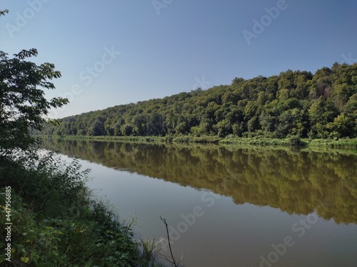 reflection of trees in water