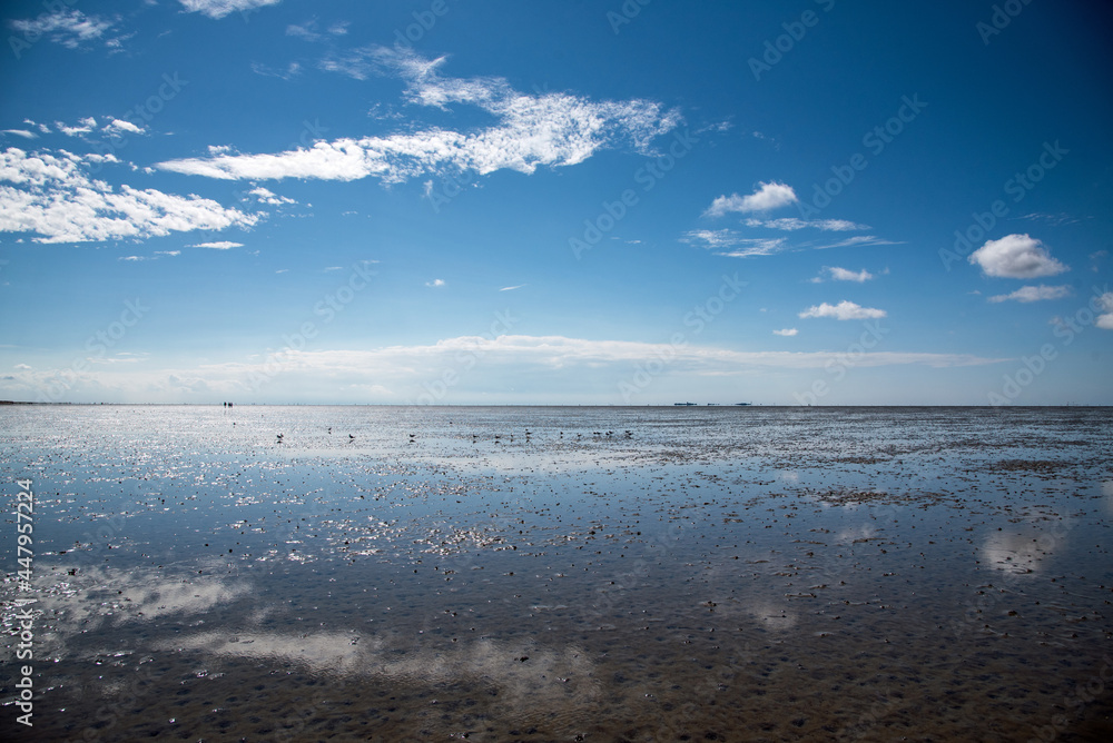 Obraz premium Wattwanderung