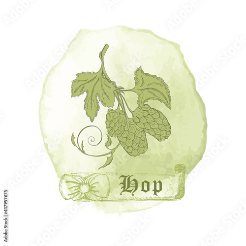 Badge with Humulus lupulus and Watercolor Spots