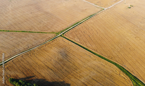 Aerial view of the road through fields and meadows