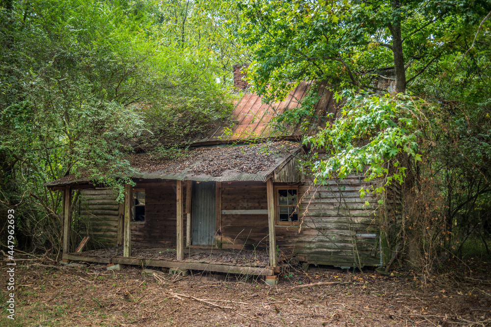 Abandoned homestead in the woods