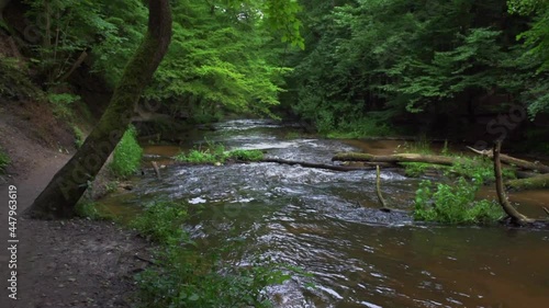Nature reserve Cascades on Tanew River (Szumy nad Tanwią), Roztocze, Poland. River flowing through the green forest in the summertime. 