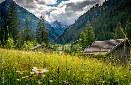 alpine meadow with hut in the alpes