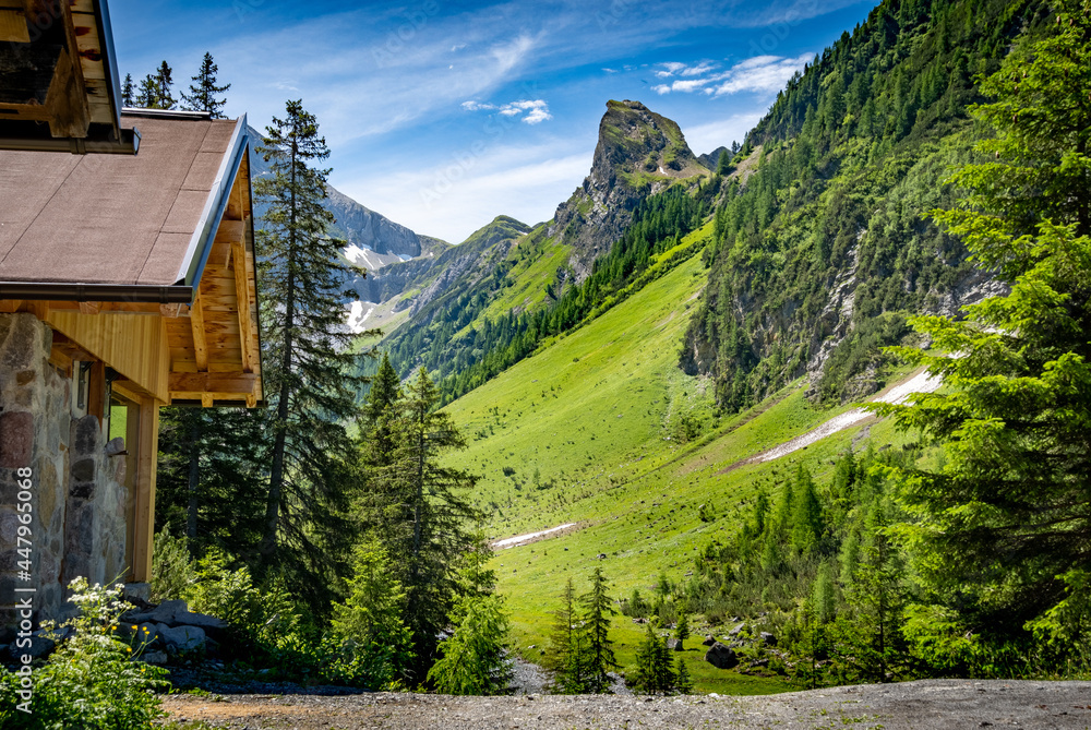 alpine landscape