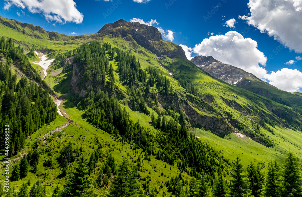 Obraz premium landscape in summer