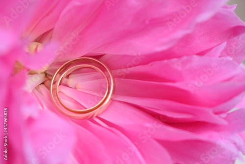 flower, pink, love, ring, wedding, beauty, gold, rose, nature, heart, flowers, valentine, romance, spring, jewelry, petal, symbol, marriage, macro, purple, rings, close-up, petals, gift, color, blosso