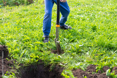 boy digs a hole for planting a tree on the site of a country house. vacation in the countryside