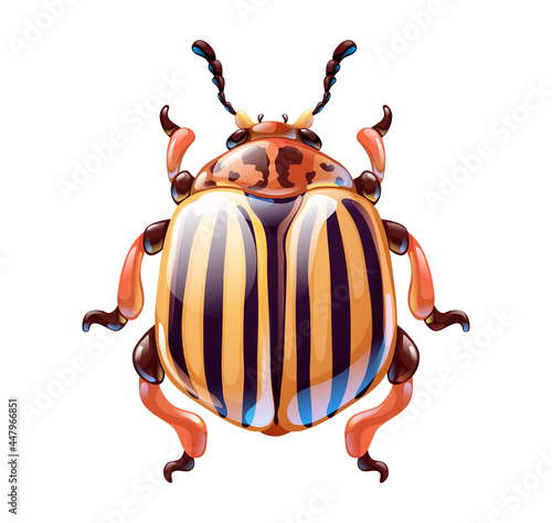 Cute cartoon colorado potato beetle, vector art © Shonyjade