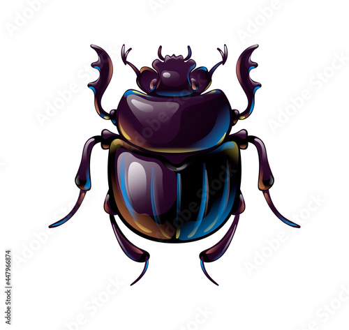 Beautiful shiny scarab beetle, top view of insect