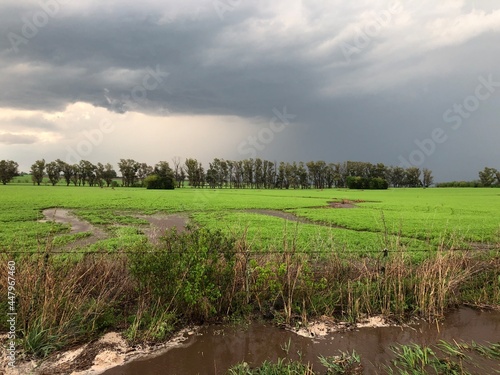 después de la lluvia