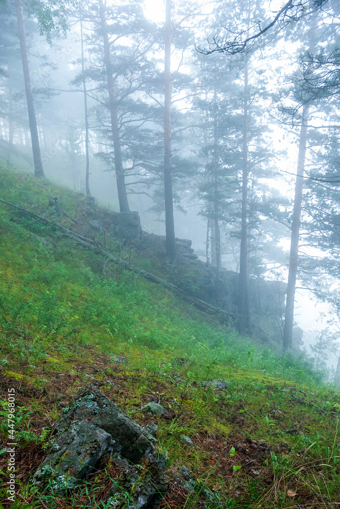 Obraz premium Landscapes of Siberia. Early morning on the Kiya river. Fog in a pine forest (taiga), in the mountains. Kemerovo region.