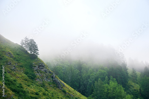 Landscapes of Siberia. Early morning on the Kiya river. Fog over a forest in the mountains. Kemerovo region.