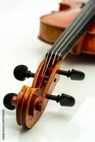 Beautiful violin head of the proffesional instrument