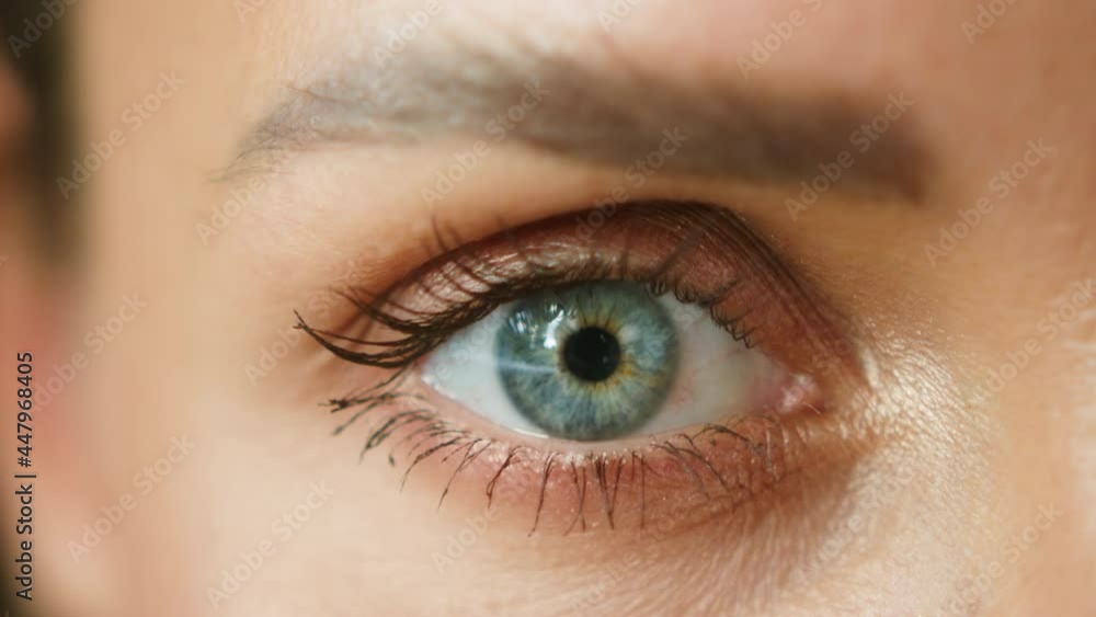 Close-up shooting of blinking eye, young woman with painted eyelashes, black mascara. Beauty and cosmetic concept. Blue eyes, female human face. Close-up shooting of blinking eye, young woman with painted eyelashes, black mascara. Beauty and cosmetic concept. Blue eyes, female human face.