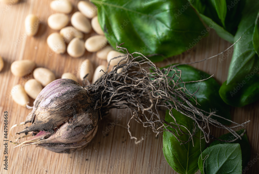Garlic Head on a Wood Table with Pine Nuts and Basil Garlic Head on a Wood Table with Pine Nuts and Basil