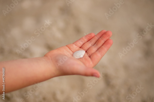Girl's hands hold a seashell on the beach close-up © InfiniteStudio