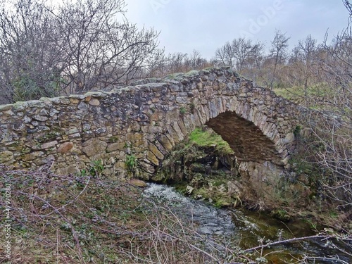 Puente románico sobre un río en el interior de Galicia photo