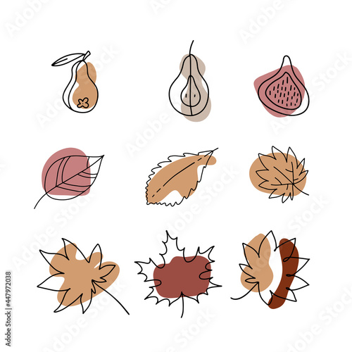 Hand drawn autumn leaves and fruits set. Linear Design with abstract shapes for poster, kitchen textiles, clothing and website. Vector hand drawn illustration.