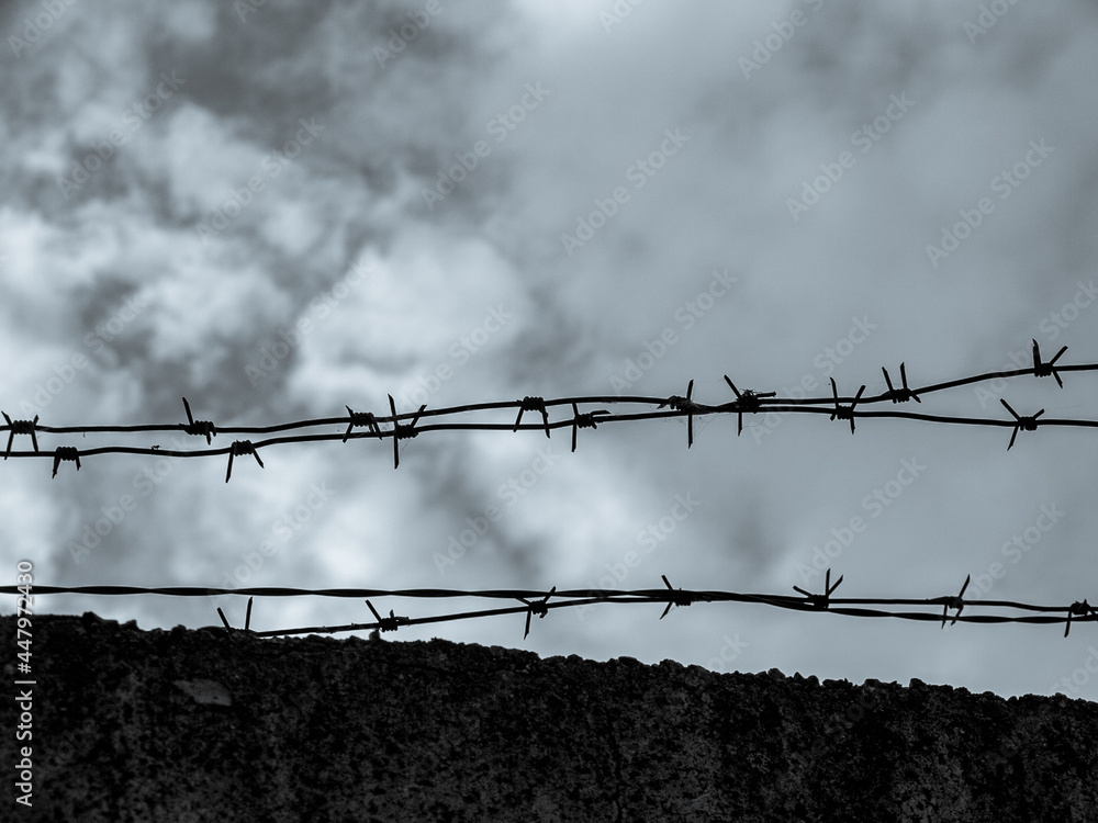 Barbed wire over a concrete fence, close-up, closed territory, military facility, prison Barbed wire over a concrete fence, close-up, closed territory, military facility, prison