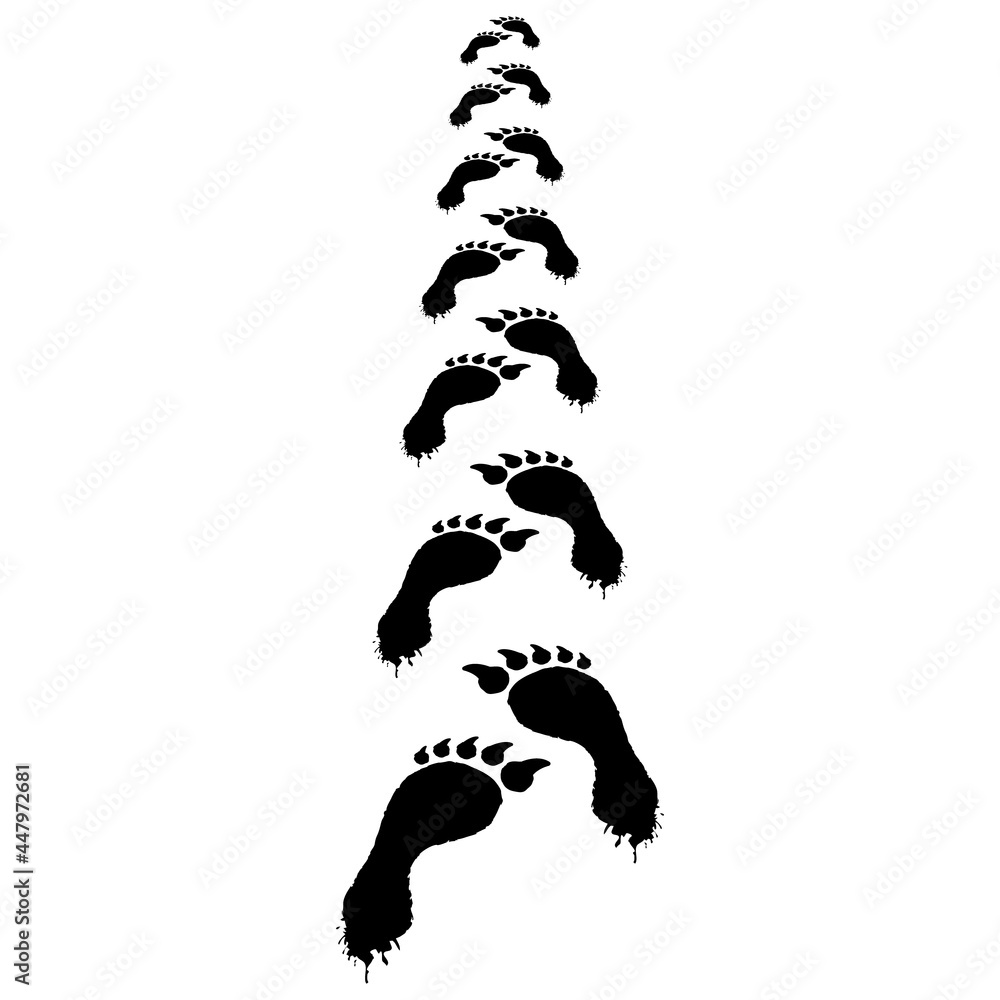 Chain of black claw footprints of dire werewolf. Imprints of evil ...