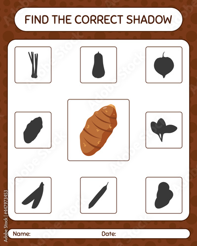 Find the correct shadows game with taro root. worksheet for preschool kids, kids activity sheet