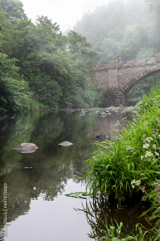 Fototapeta premium A bridge across tranquil waters of a river hidden between misty forest