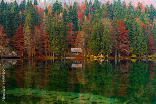 Autumn foliage in Fusine lakes natural park, Friuli Italy
