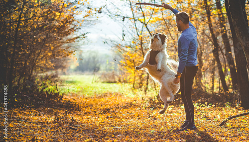 Fototapeta Naklejka Na Ścianę i Meble -  happy dog and man playing in autumn forest