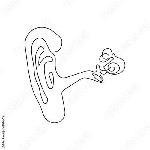 Human hearing organ one line art. Continuous line drawing of human, internal, organs, ear, hearing organ, auricle, structure of the ear, inner ear, ear canal, eardrum.