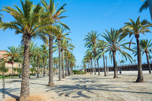 Palma de Mallorca © barabasone
