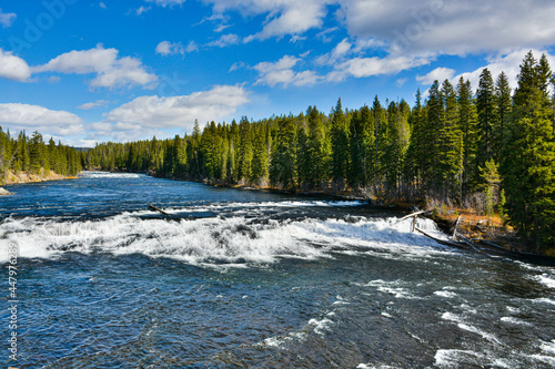 Up Stream of Cave Falls