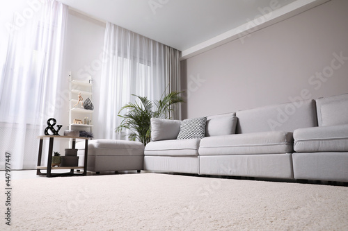 Living room interior with soft carpet and stylish furniture