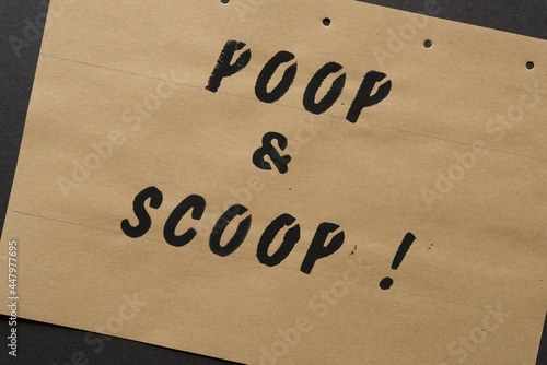the expression "poop & scoop!" loosely stencilled in black paint on a craft paper background - pencil guide lines visible