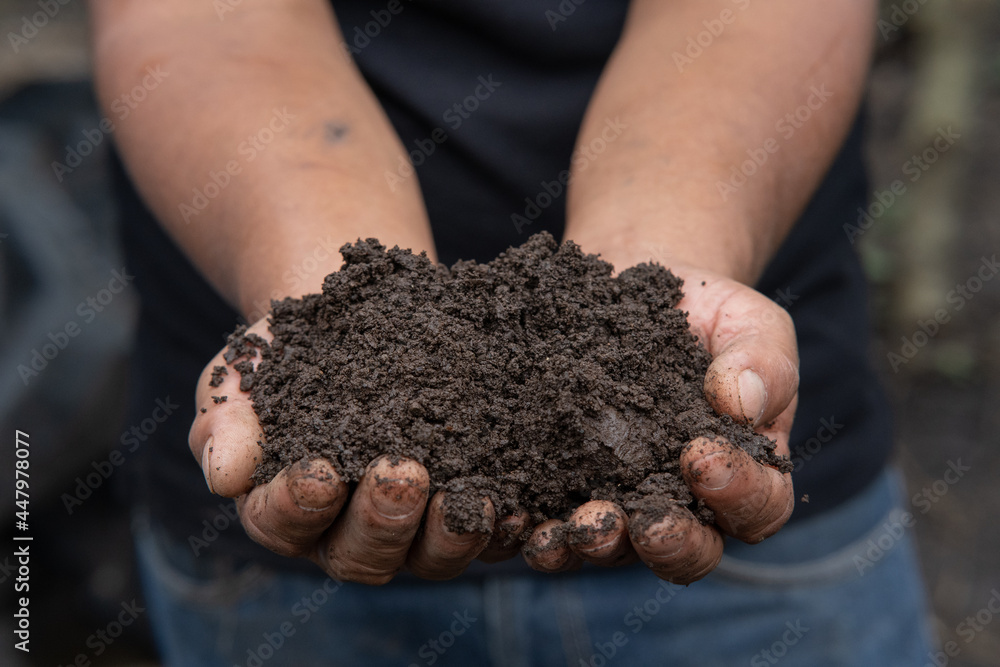 Organic compost fertilizer in the hands of the producer Organic compost fertilizer in the hands of the producer
