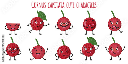 Cornus capitata fruit cute funny cheerful characters with different poses and emotions.