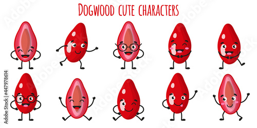 Dogwood fruit cute funny cheerful characters with different poses and emotions.
