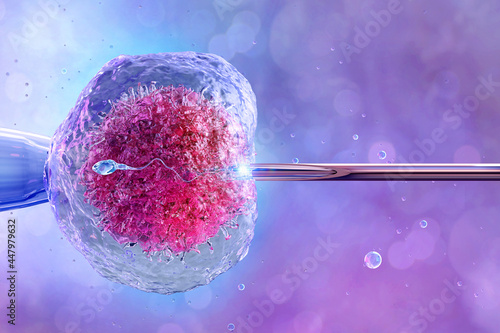 Human artificial insemination, in vitro fertilization, reproduction. Female egg cell, needle puncture the cell membrane, cell injection, sperm, ovum, zygote. IVF fertility treatment medicine, 3D image photo