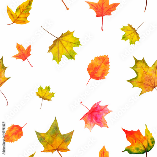 Hand drawn watercolor autumn leaves on white background. Seamless pattern. Perfect for textiles, scrapbooking, gift wrapping, paper bags, stationery, greeting cards, websites, banners, packaging