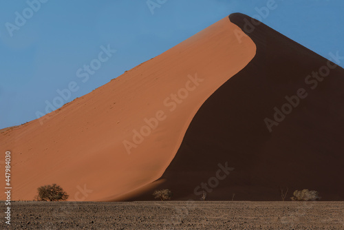 Sculpted Dunes at Sossusvlei